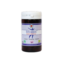SILICASSIS - 60 Glules - Bio* - Silicium - Vecteur Energy