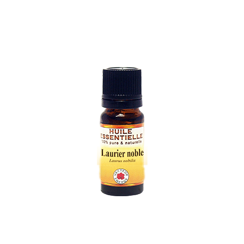 Laurier noble - Huile - Vecteur Energy