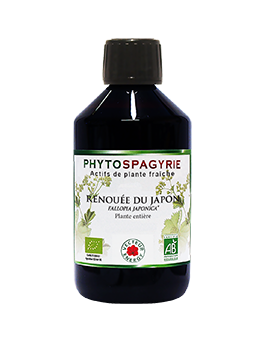 Renouée du Japon - 300 ml - Phytospagyrie - Extrait de plante biologique* - Vecteur Energy