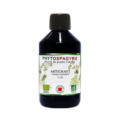 Artichaut - Bio* - 300 ml