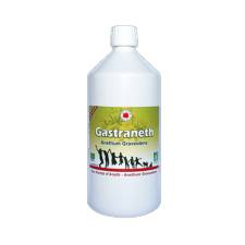 Gastraneth - Sirop - 1litre - Bio* - Complément alimentaire - Vecteur Energy