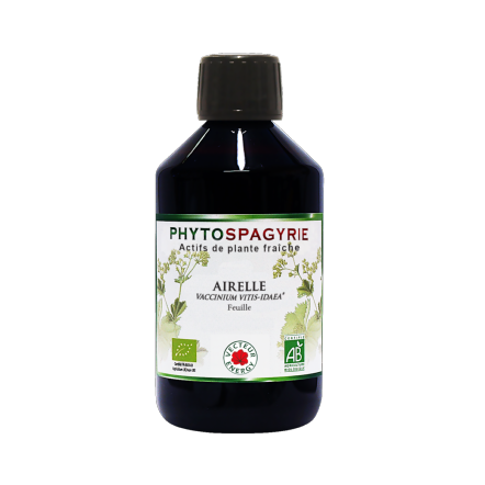 Airelle - 300 ml - Phytospagyrie - Extrait de plante biologique* - Vecteur Energy